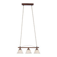 HÄNGELEUCHTE 56/16/120 cm  - Rostfarben, KONVENTIONELL, Glas/Kunststoff (56/16/120cm)