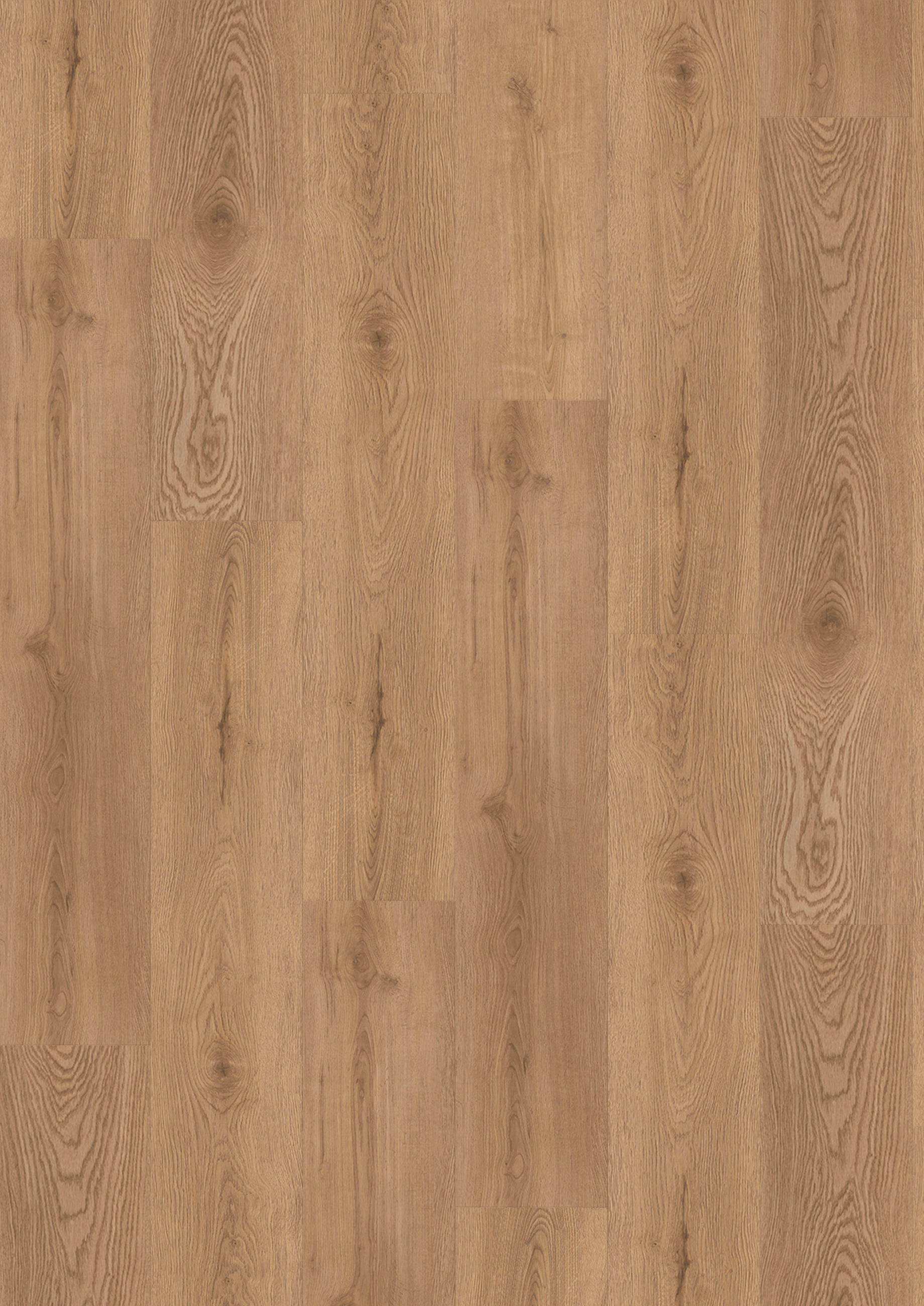 VINYLBODEN SPC 5mm Breitdiele inkl. Trittschall  per  m² - Eichefarben, Basics, Kunststoff (23/122/0,5cm)