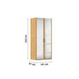 DREHTÜRENSCHRANK 101/223/60 cm 2-türig Eichefarben  - Eichefarben/Silberfarben, Design, Glas/Holzwerkstoff (101/223/60cm) - Novel