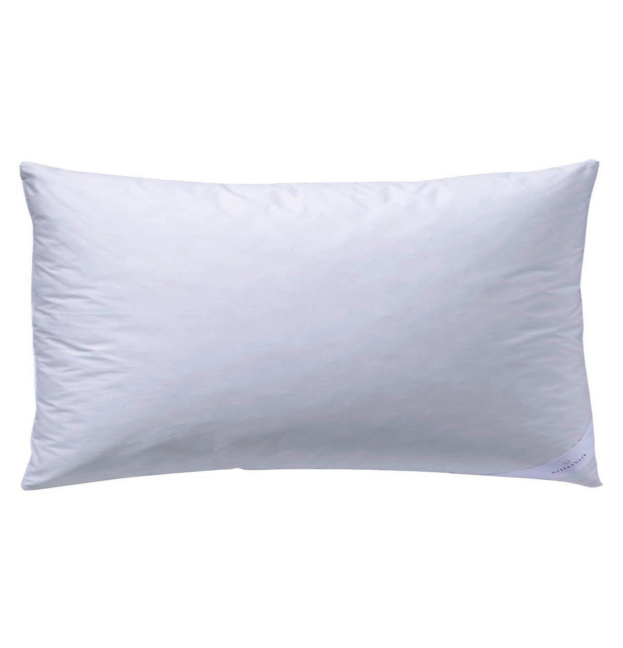 KOPFKISSEN POLARTRAUM 30   40/80 cm       - Weiß, KONVENTIONELL, Textil (40/80cm) - Billerbeck