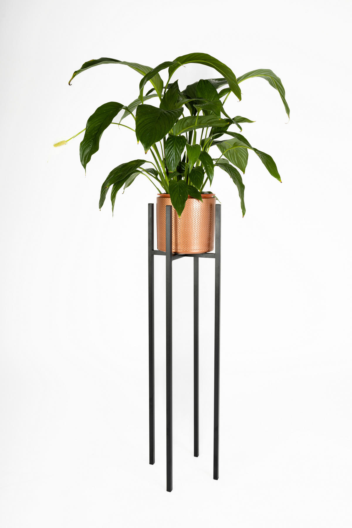 BLUMENSTÄNDER Metall  - Schwarz, Basics, Metall (22/90/22cm)