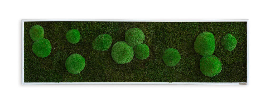 MOOSBILD Stylegreen  - Weiß/Grün, Basics, Naturmaterialien/Holz (140/40/6cm)