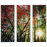 Bäume GLASBILD - Multicolor, LIFESTYLE, Glas (90/80cm) Bäume GLASBILD - Multicolor, LIFESTYLE, Glas (90/80cm)