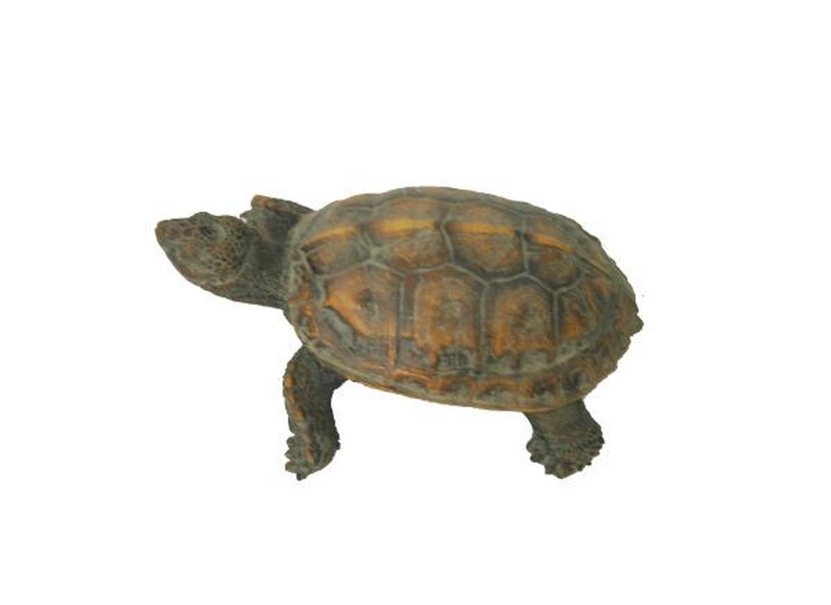 DEKOSCHILDKRÖTE - Braun, LIFESTYLE, Kunststoff (17/11/6,5cm) - Ambia Home