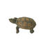 DEKOSCHILDKRÖTE - Braun, LIFESTYLE, Kunststoff (17/11/6,5cm) - Ambia Home DEKOSCHILDKRÖTE - Braun, LIFESTYLE, Kunststoff (17/11/6,5cm) - Ambia Home