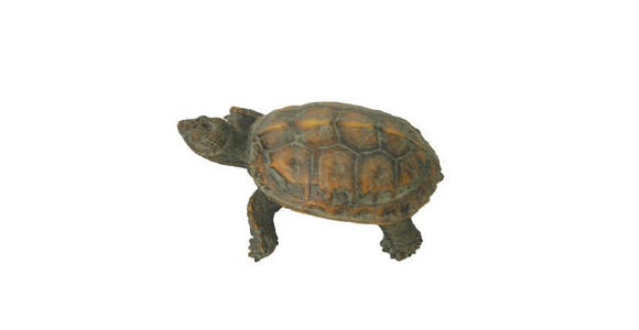 DEKOSCHILDKRÖTE - Braun, LIFESTYLE, Kunststoff (17/11/6,5cm) - Ambia Home