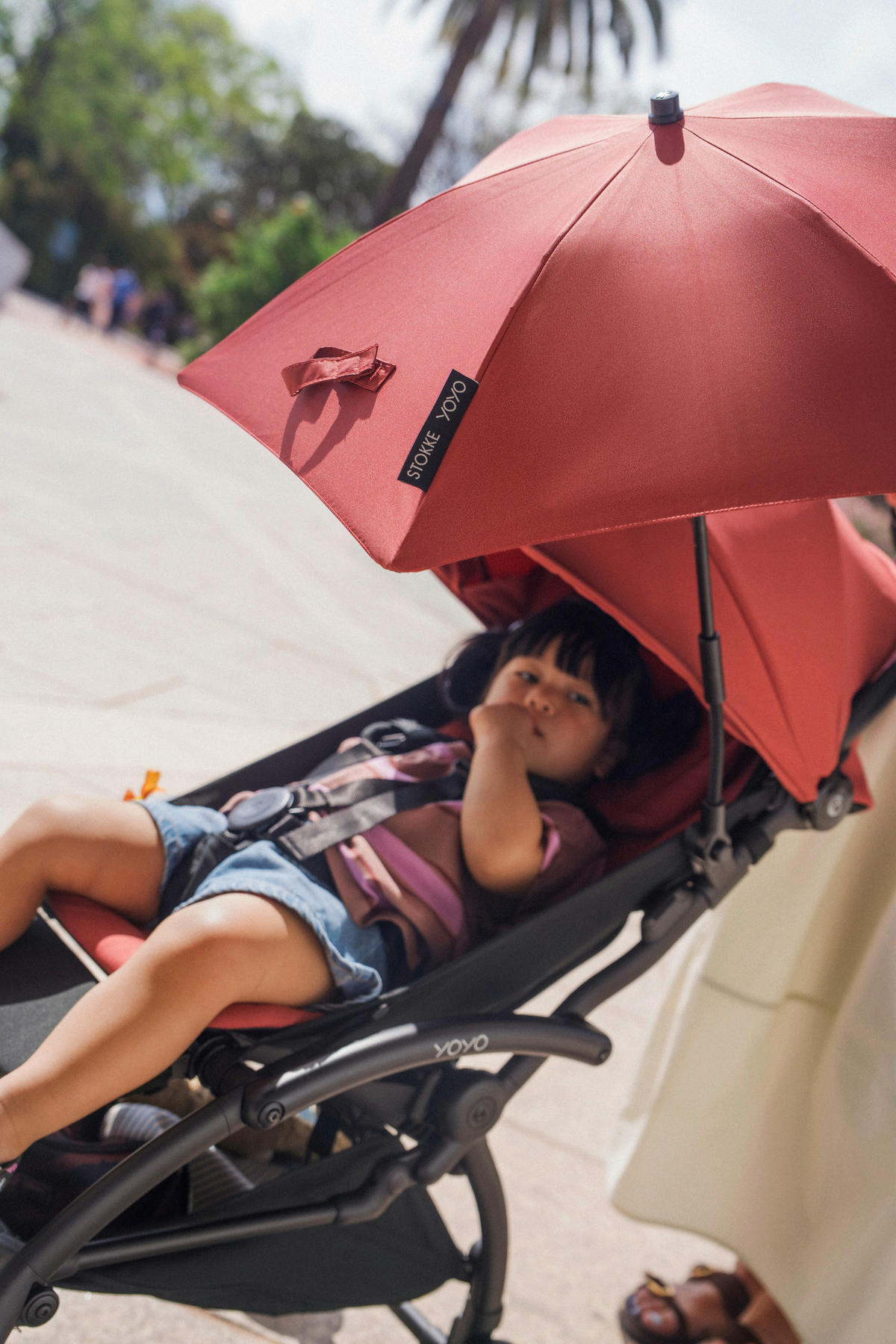 KINDERWAGENSONNENSCHIRM  - Dunkelrosa, Basics, Textil (70/69/69cm) - Stokke