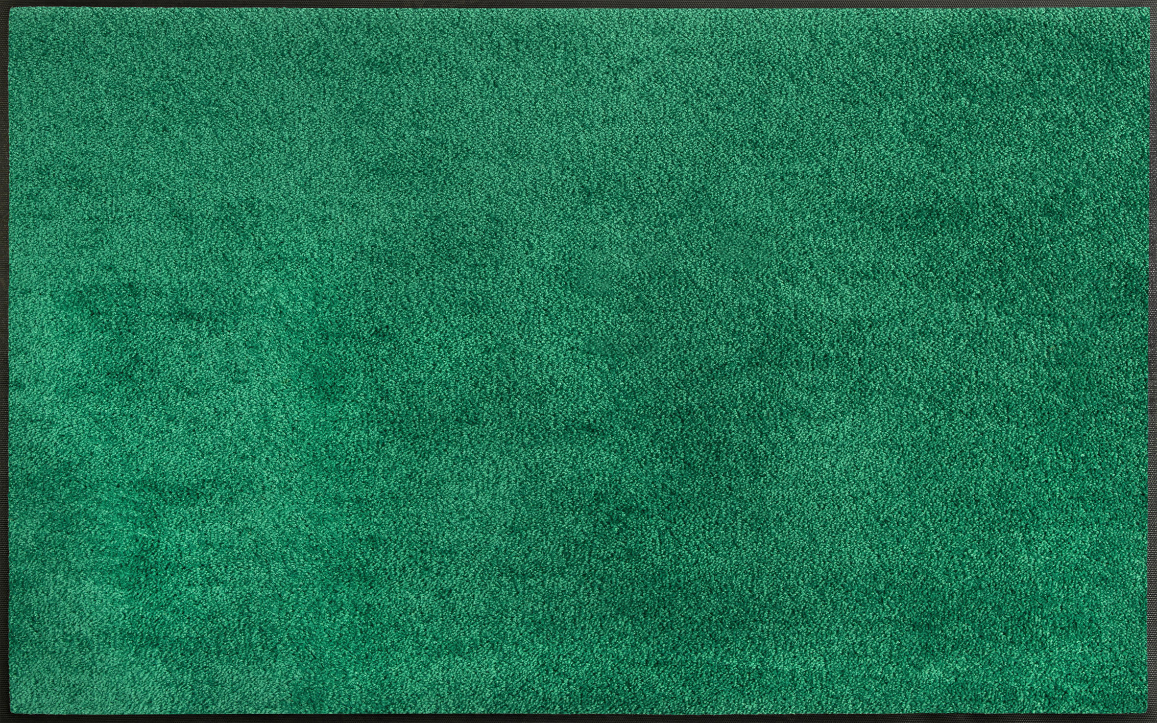 LÄUFER 75/120 cm Ever Green  - Grün, KONVENTIONELL, Kunststoff/Textil (75/120cm) - wash+dry