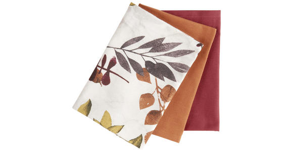 GESCHIRRTUCH-SET Naturfarben - Naturfarben, KONVENTIONELL, Textil (50/70cm) - Esposa