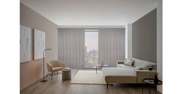 FERTIGVORHANG blickdicht - Grau, KONVENTIONELL, Textil (140/260cm) - Dieter Knoll