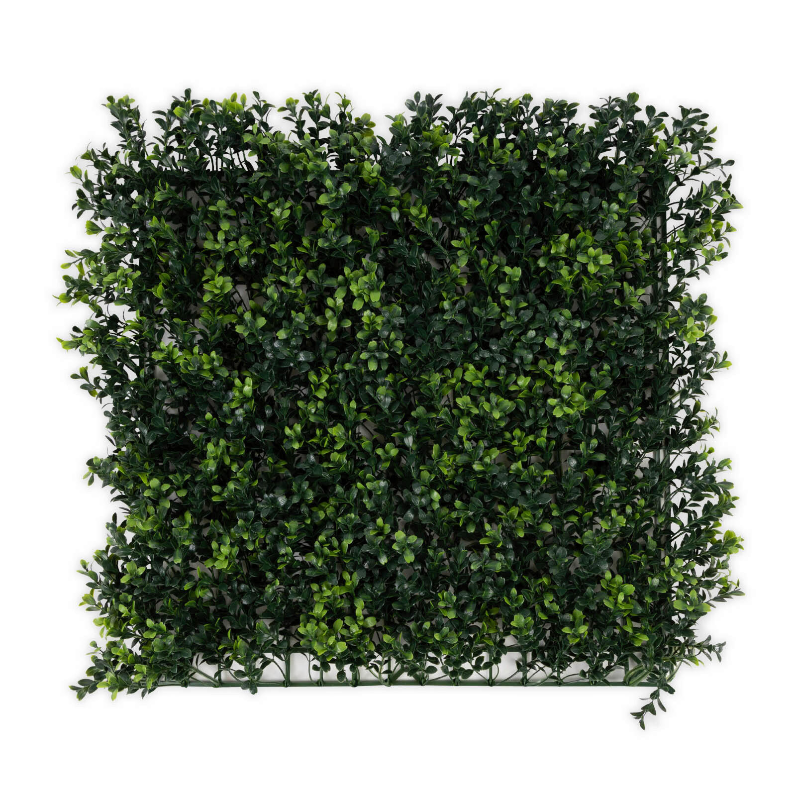 Wandverkleidung Pflanzenwand  Kunststoff  - Dunkelgrün, Trend, Kunststoff (50/50cm) - Floordirekt