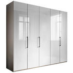 KLEIDERSCHRANK  in Grau, Weiß  - Schieferfarben/Weiß, KONVENTIONELL, Glas/Holzwerkstoff (250/216/58cm) - Novel