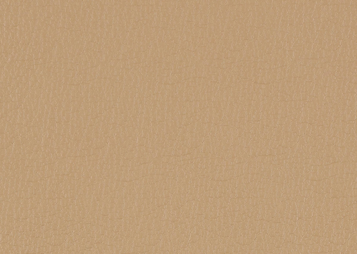 ECKSOFA  in Echtleder Honig  260/324 cm  - Schwarz/Honig, KONVENTIONELL, Leder/Kunststoff (260/324cm) - Cantus