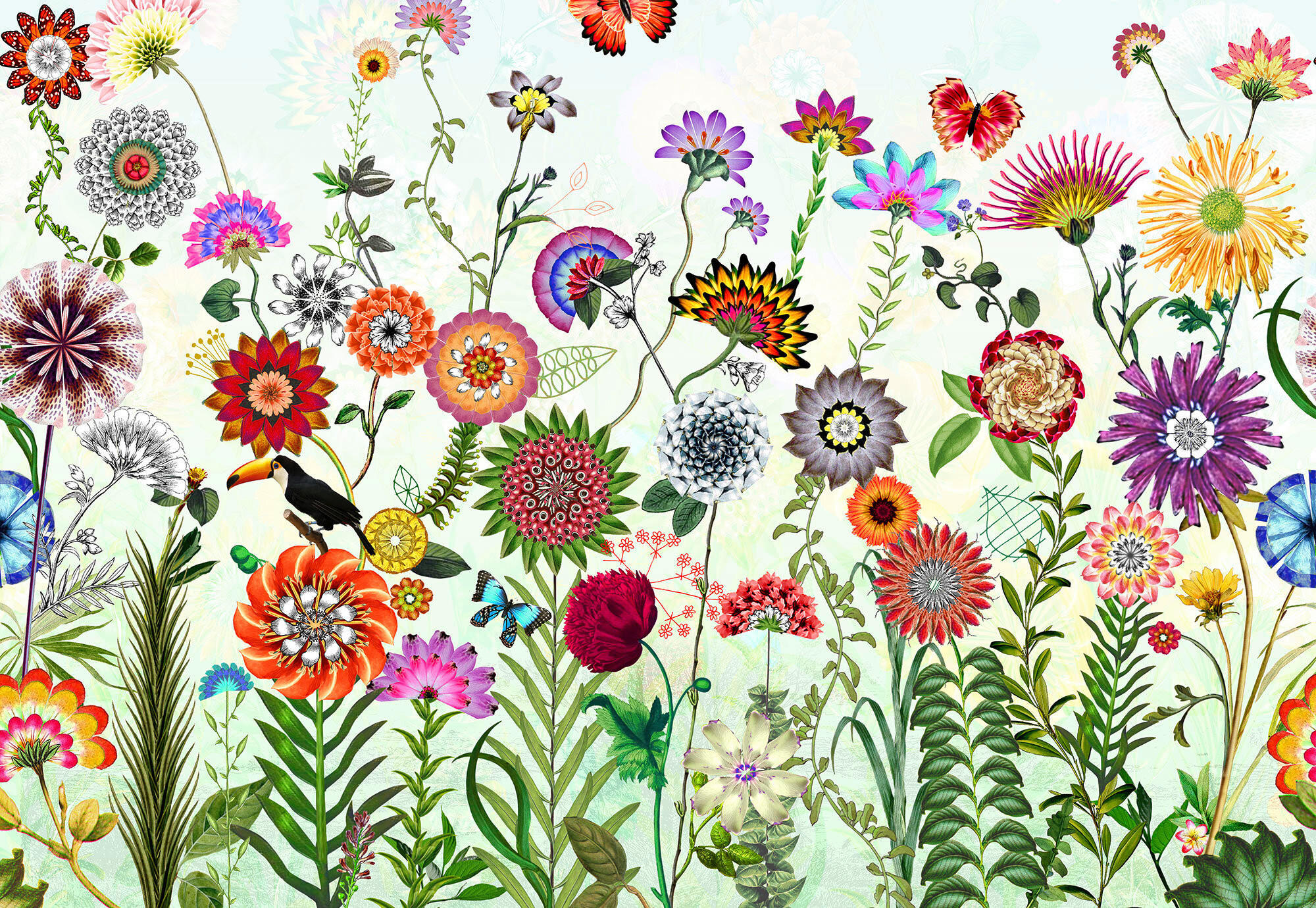 FOTOTAPETE  - Natur, Papier (368/254cm) - Komar