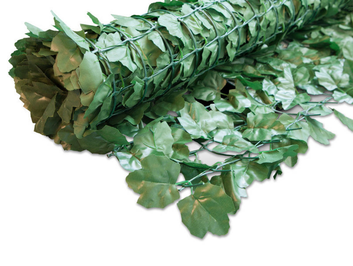 CLONA – ŽIVÝ PLOT 300/150 cm  - zelená, Basics, plast (300/150cm)