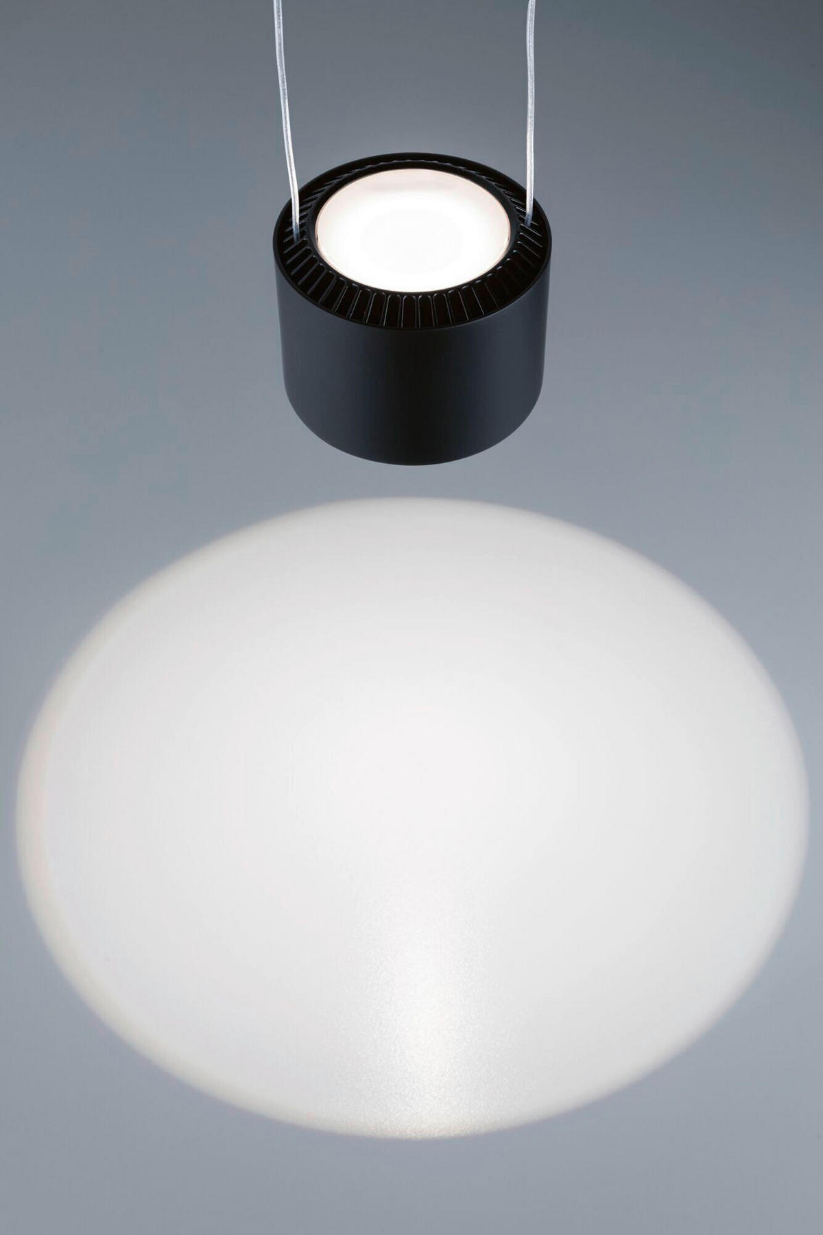 SCHIENENSYSTEM-HÄNGELEUCHTE - Basics (20-150/9,8/8,5cm) - Paulmann