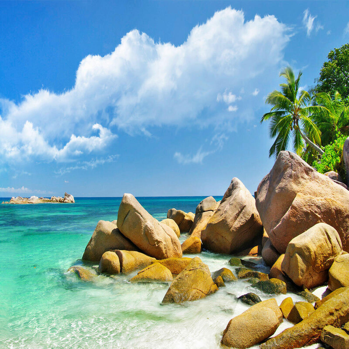 ÜVEGKÉP  - Basics, Üveg