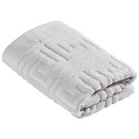 HANDTUCH Water Legacy Hellgrau  - Hellgrau, Basics, Textil (50/100cm) - Zoeppritz