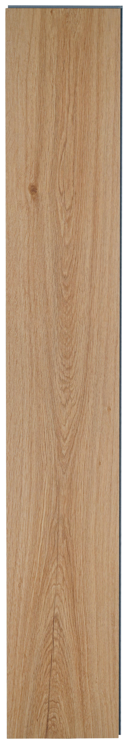 VINYLOVÁ PODLAHA  (m²) barvy dubu - barvy dubu, Konvenční, plast (123,5/19,2/0,4cm) - Venda