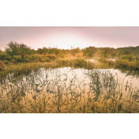 VLIESTAPETE  - Natur (400/250cm) - Komar