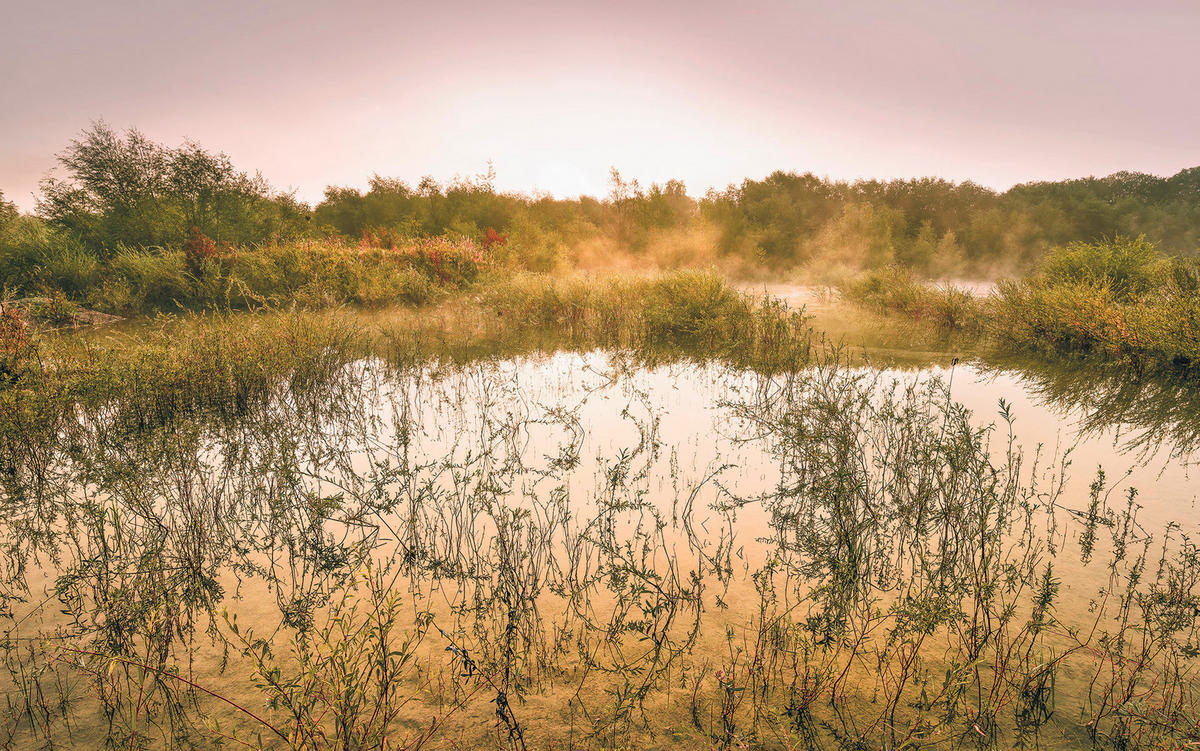 VLIESTAPETE  - Natur (400/250cm) - Komar