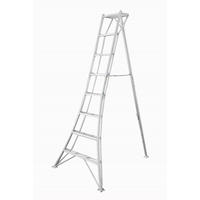 LEITER - Silberfarben, Basics, Metall (125/240/20cm) - Ambia Garden