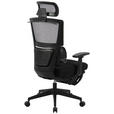 CHEFSESSEL  in Netzbespannung Schwarz  - Schwarz, KONVENTIONELL, Kunststoff/Textil (70/117,5/125/69cm) - Novel