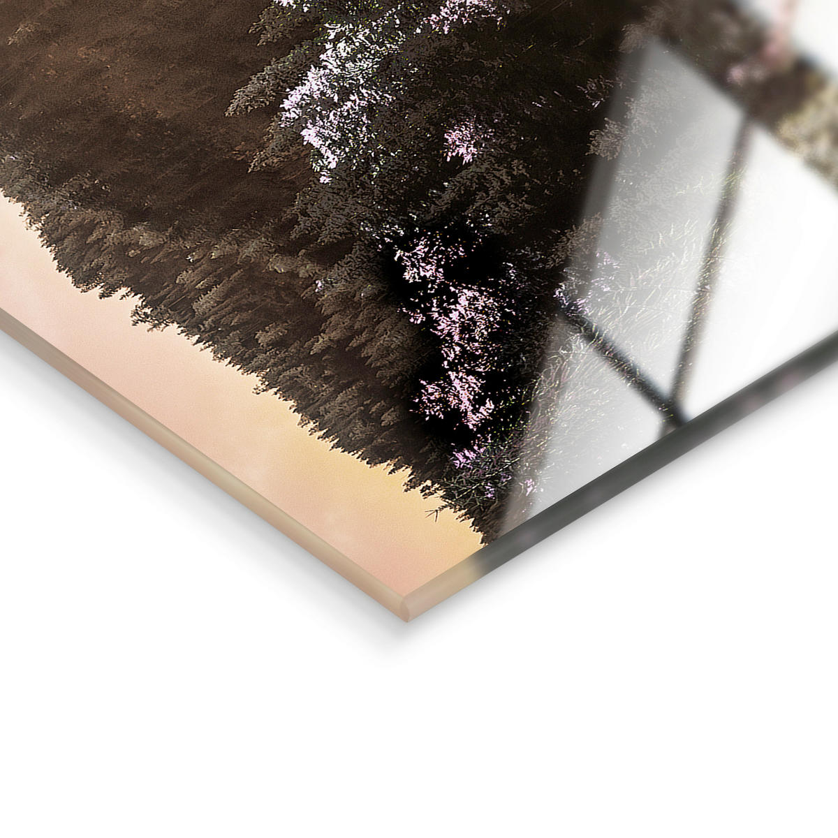 GLASBILD Landschaft & Natur 125/50 cm  - Multicolor, Basics, Glas/Papier (125/50cm)