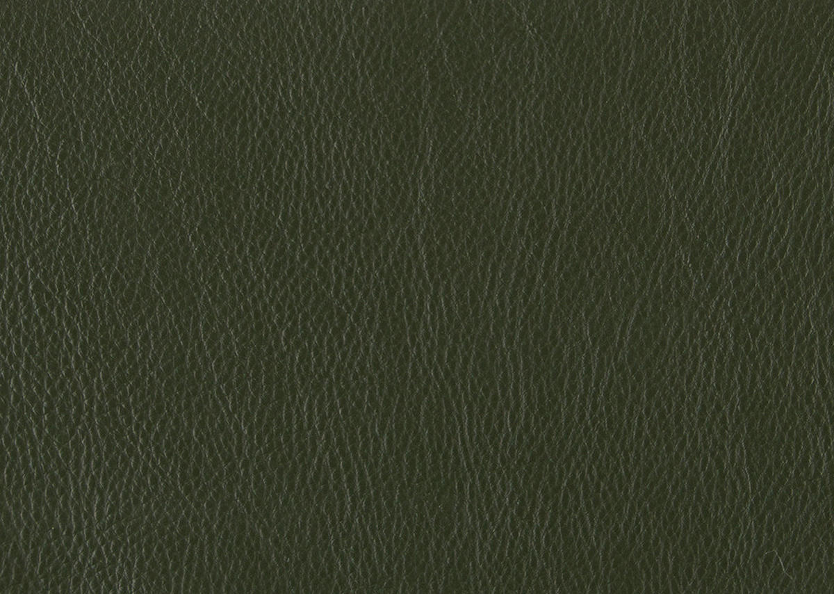 SESSEL in Echtleder Dunkelgrün  - Dunkelgrün/Schwarz, Modern, Leder/Metall (74/105/92cm) - Johann Jakob