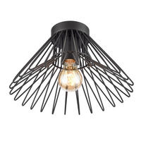 STROPNÍ SVÍTIDLO, 30/18 cm  - černá, Design, kov (30/18cm)