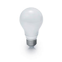 LED SIJALICA - bela, Konvencionalno, staklo (6/11cm)