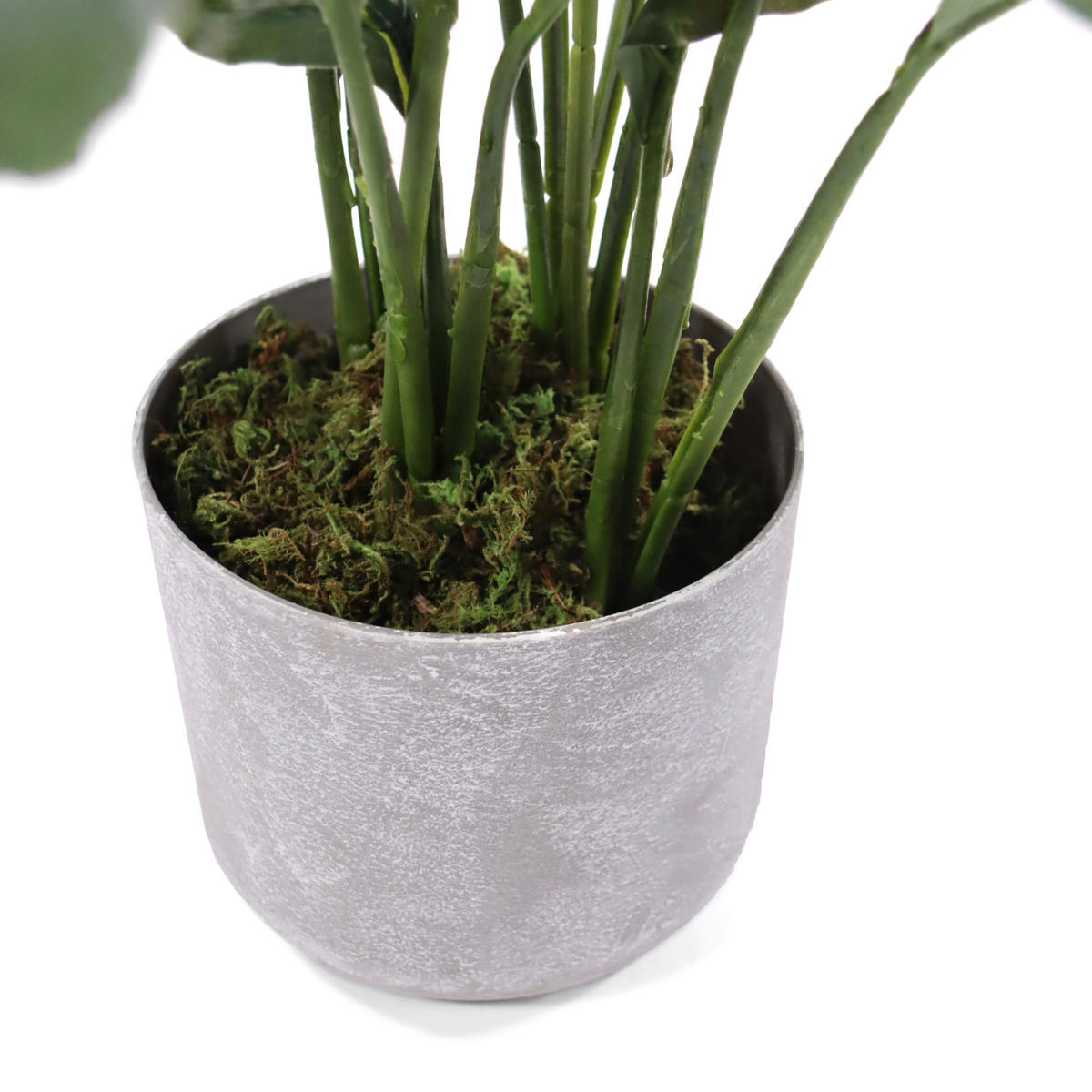 KUNSTPFLANZE  - Weiß/Grau, MODERN, Kunststoff (55/60/40cm) - MID.YOU