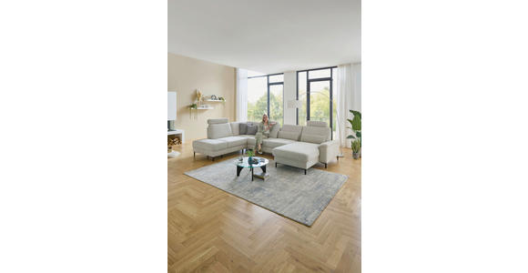 WOHNLANDSCHAFT Dieter Knoll Greige Chenille  - Greige/Schwarz, Design, Textil/Metall (235/349/175cm) - Dieter Knoll