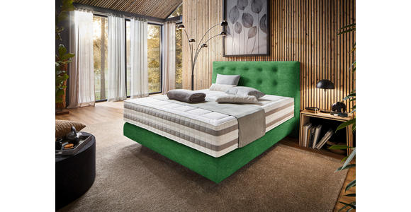 BOXSPRINGBETT 160/200 cm in Grün - Grün, KONVENTIONELL, Holz/Textil (160/200cm) - Dieter Knoll