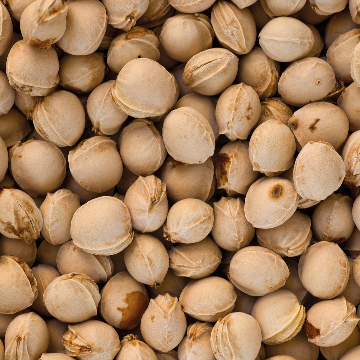 KIRSCHKERNKISSEN Baby-Tröste-Tiere  - Beige, Basics, Naturmaterialien/Textil (19/18cm) - Theraline