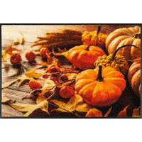 FUßMATTE 50/75 cm Pumpkin Glow  - Multicolor, Basics, Kunststoff/Textil (50/75cm) - wash+dry