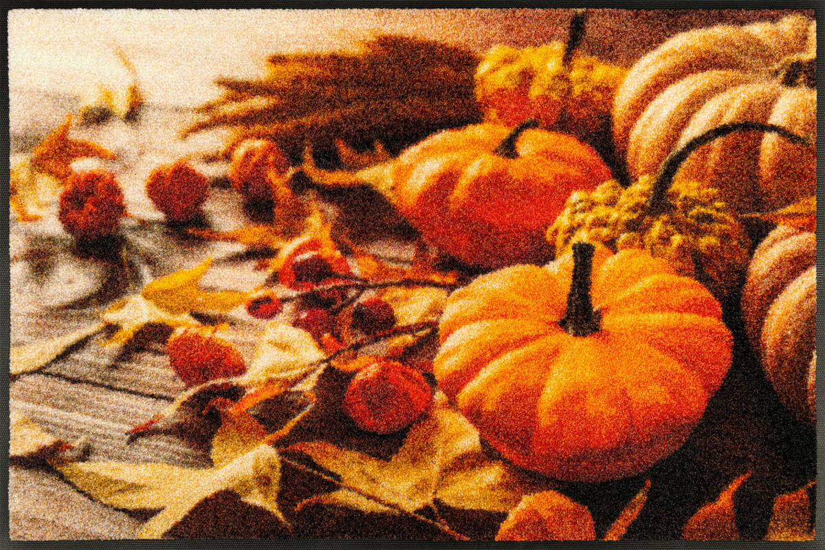 FUßMATTE 50/75 cm Pumpkin Glow  - Multicolor, Basics, Kunststoff/Textil (50/75cm) - wash+dry