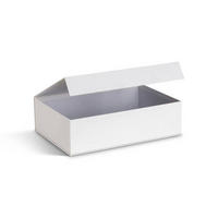 AUFBEWAHRUNGSBOX    25/36.5/10.5 cm  - Weiß, Basics, Karton/Papier (25/36.5/10.5cm)