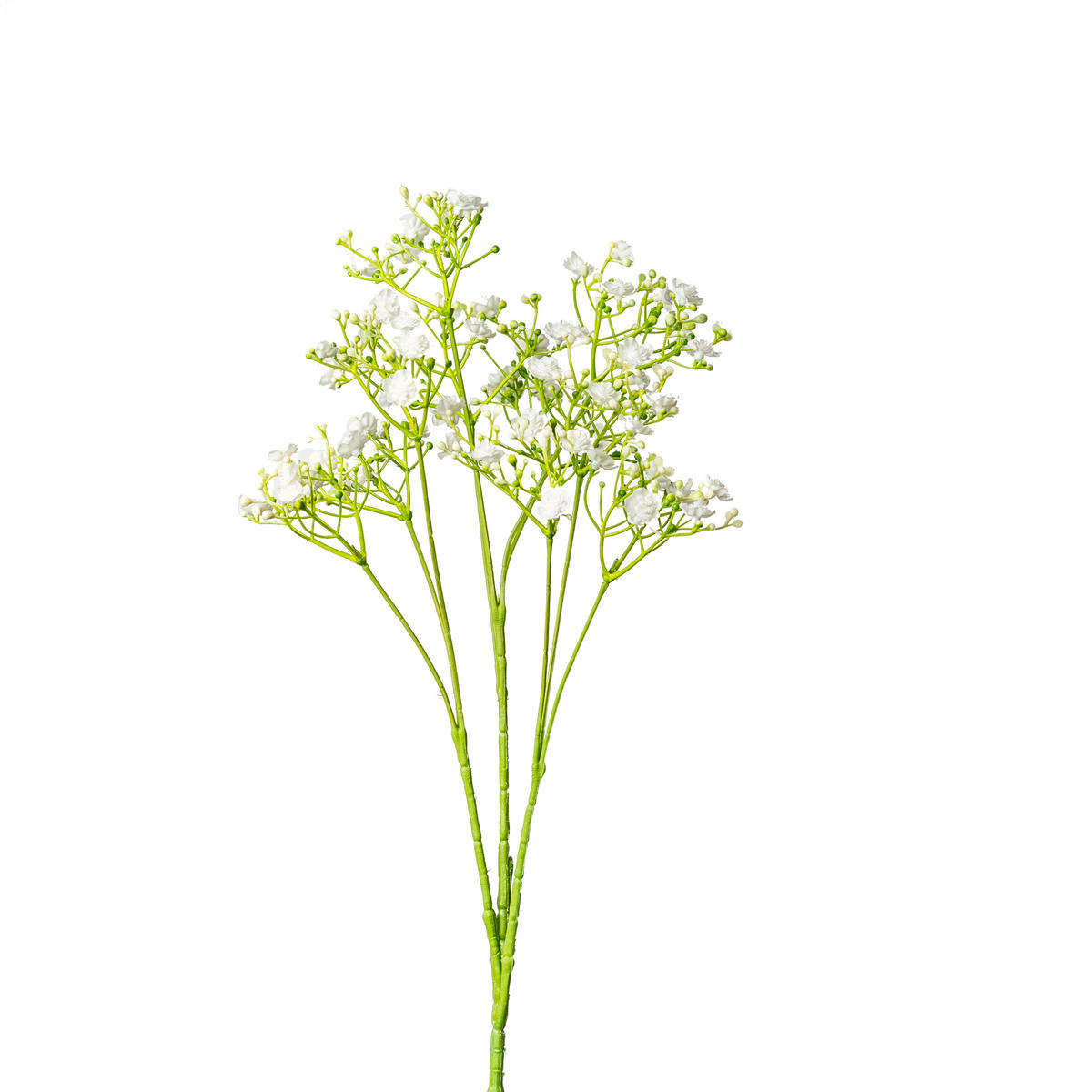 GYPSOPHILA - Weiss/Grün, Basics, Kunststoff/Metall (65cm)