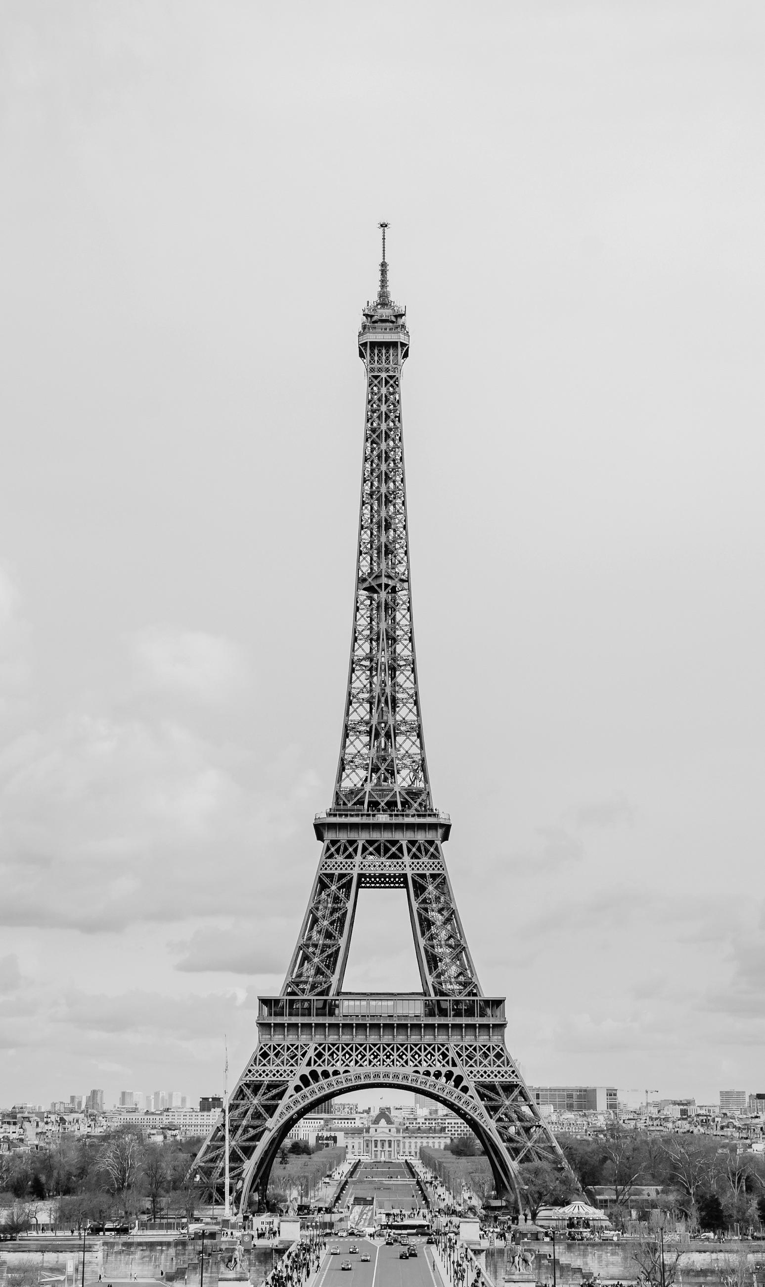 ALUMINIUMBILD 70/118 cm  - Schwarz, Design, Metall (70/118cm) - Wandkraft