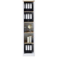 AKTENREGAL 43/204/38 cm  - Eiche Artisan/Pinienfarben, KONVENTIONELL, Holzwerkstoff (43/204/38cm) - Carryhome