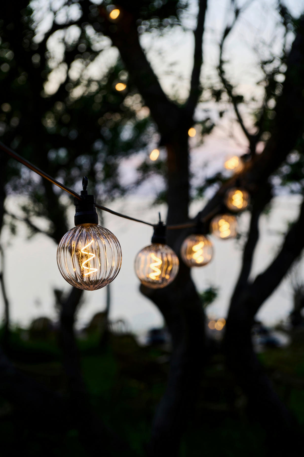 LICHTERKETTE 500 cm  - Transparent/Schwarz, KONVENTIONELL, Kunststoff (500cm)