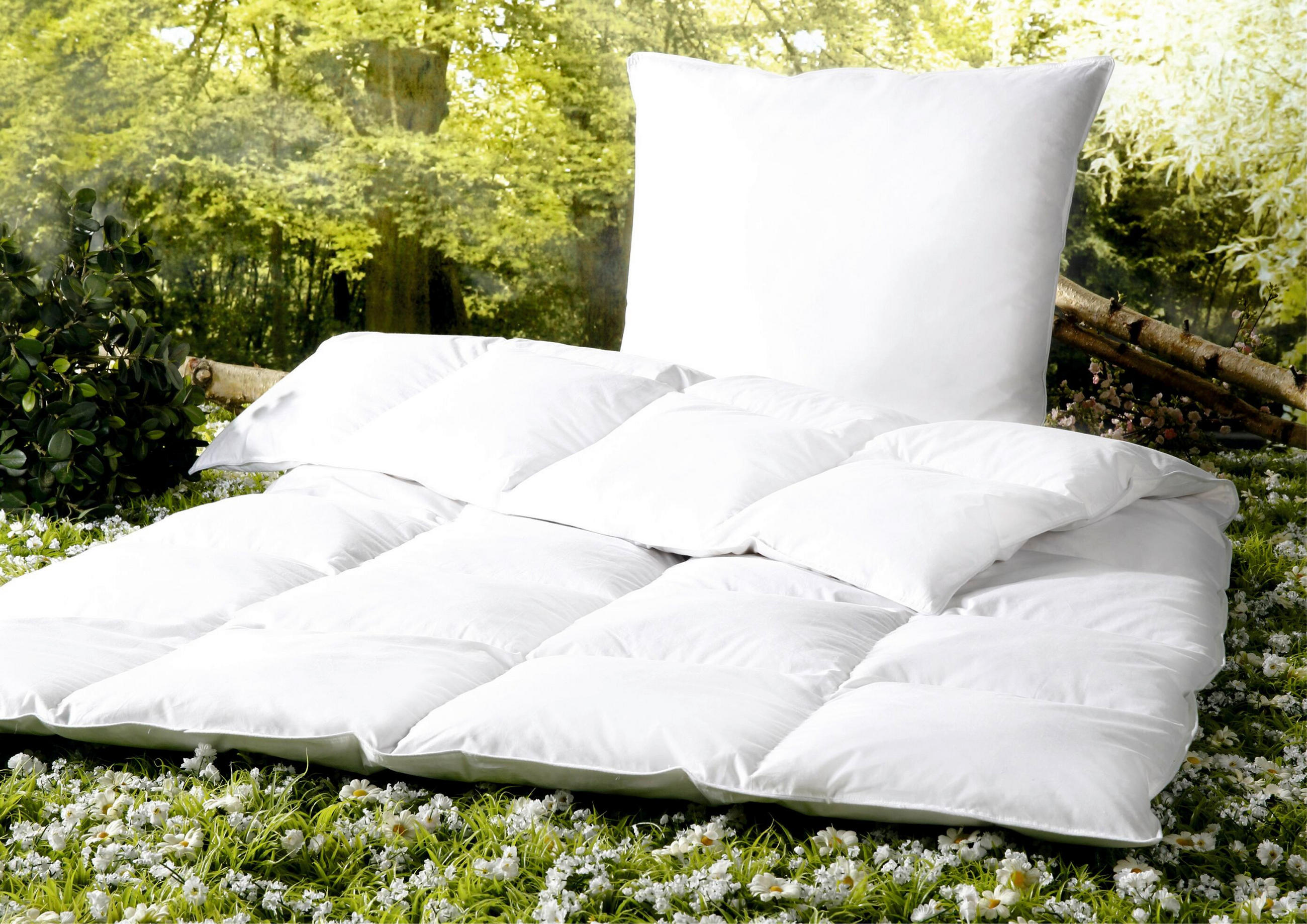VANKÚŠ POD HLAVU, 70/90 cm - biela, Basics, textil (70/90cm) - Sleeptex