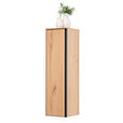MIDISCHRANK 35/125/37 cm  - Eichefarben/Schwarz, MODERN, Glas/Holz (35/125/37cm) - Dieter Knoll