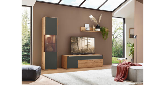 VITRINE in furniert, massiv Wildeiche Grau, Wildeiche - Wildeiche/Silberfarben, Design, Glas/Holz (50/204/40cm) - Waldwelt
