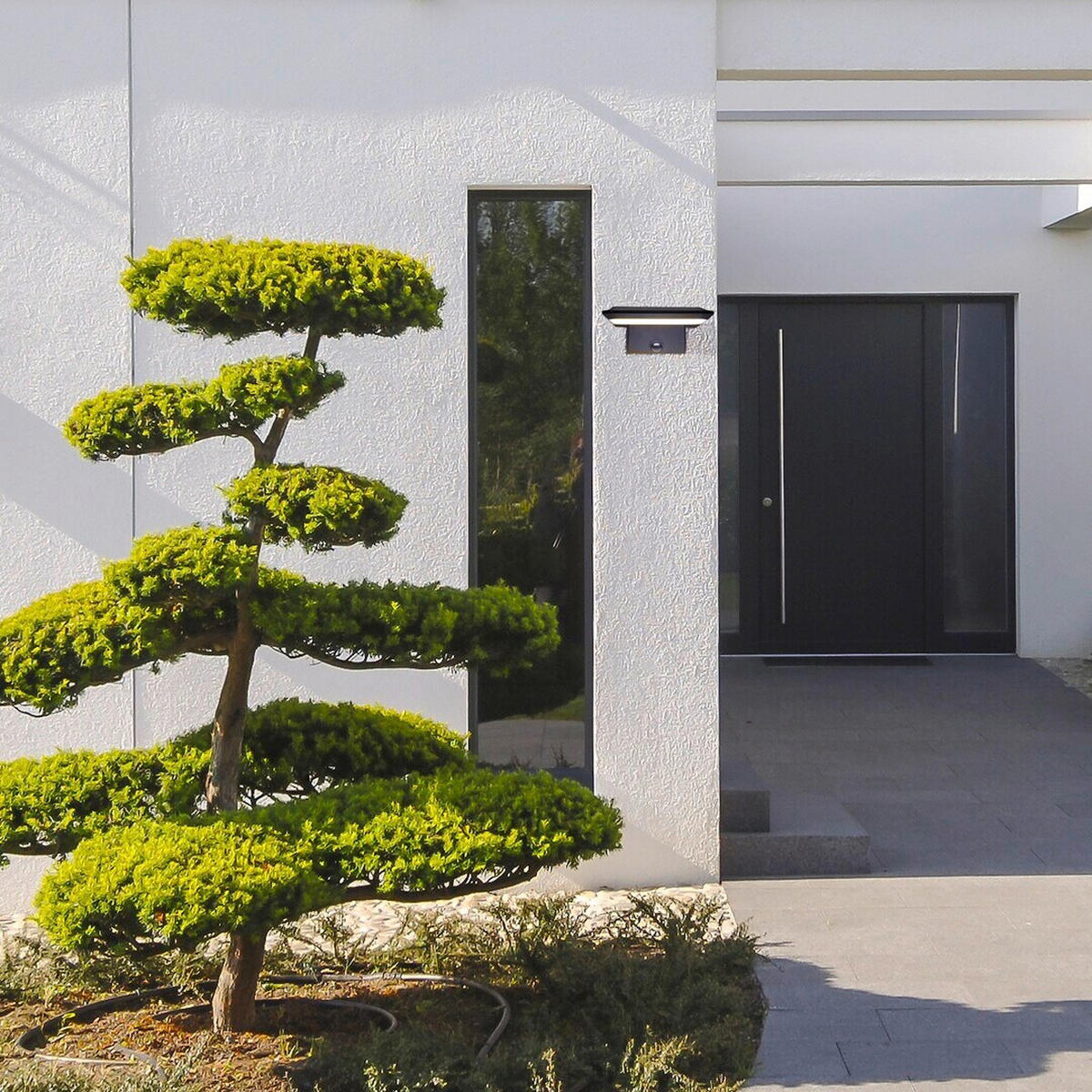 SVJETILJKA SOLARNA Qesa  - crna, Basics, plastika (15.5/7.5cm)