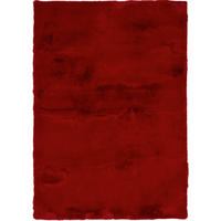 HOCHFLORTEPPICH 200/290 cm Silky Haven Rot  - Rot, Basics, Textil (200/290cm) - Novel