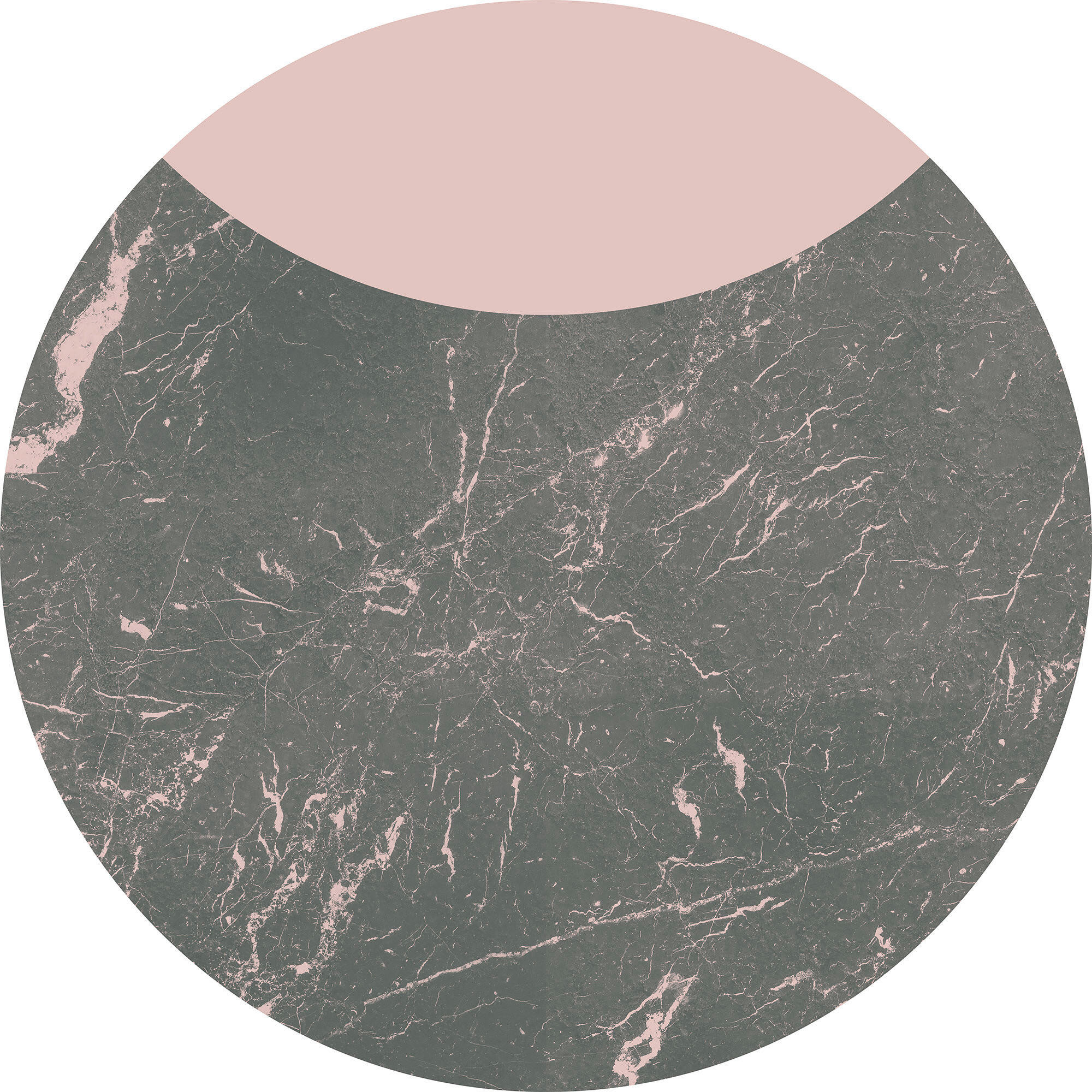 FOTOTAPETE  - Rosa/Grau, Trend, Papier (125cm) - Xora