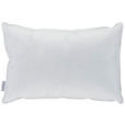 3-KAMMER-POLSTER 60/80 cm   - Basics, Karton/Naturmaterialien (60/80cm) - Sleeptex