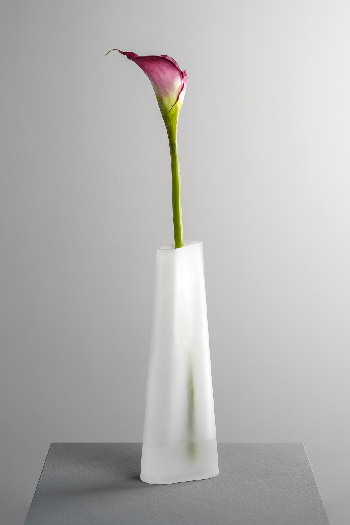 VASE  - Weiß, Basics, Glas (12/34/9,5cm) - Leonardo